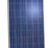 poly panel jinko solar